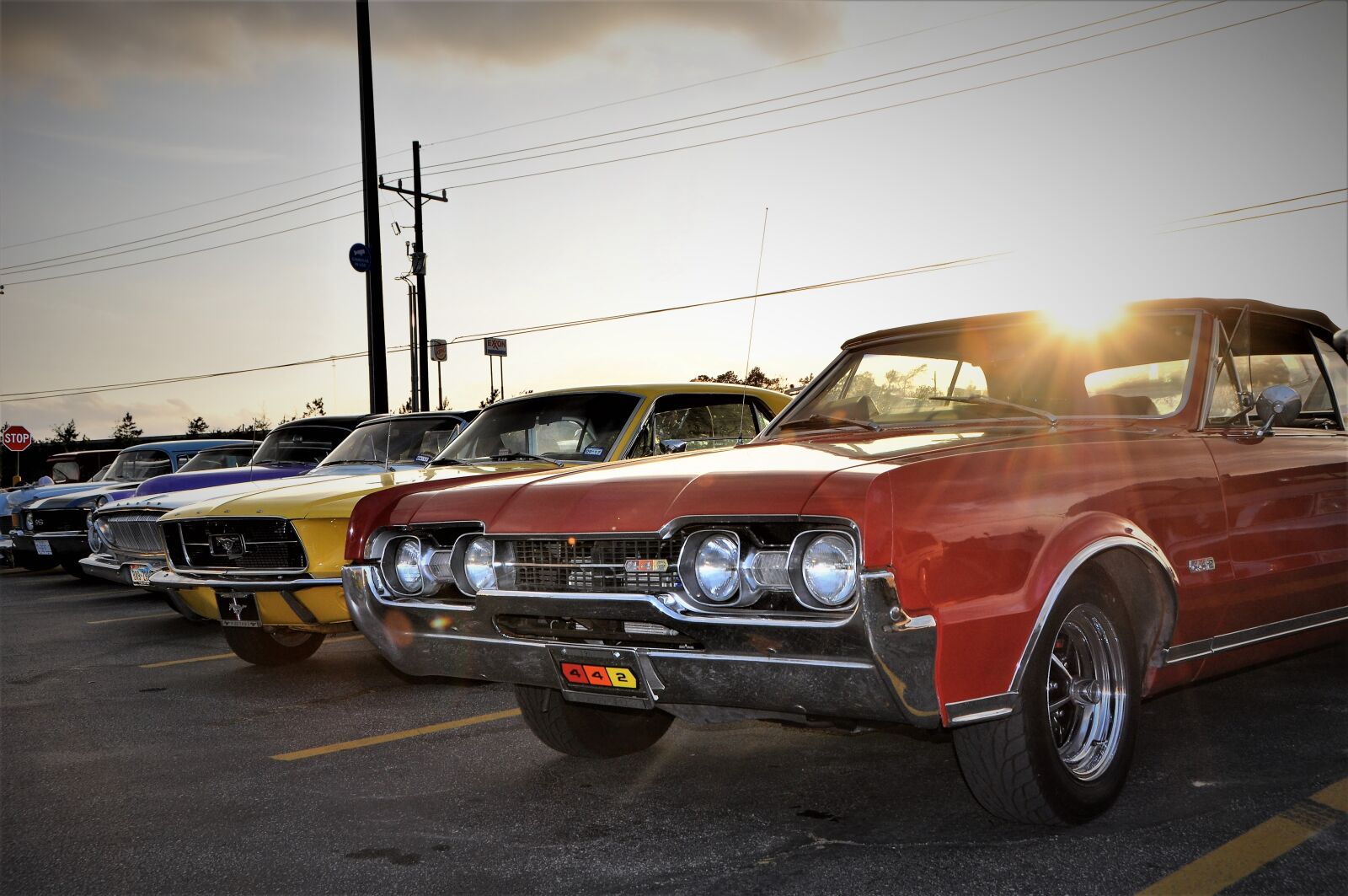 Nikon D90 sample photo. Scenic, muscle car lineup photography