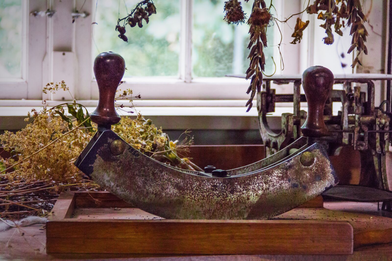 Canon EF-S 18-135mm F3.5-5.6 IS sample photo. Herb cradle, herb rocker photography