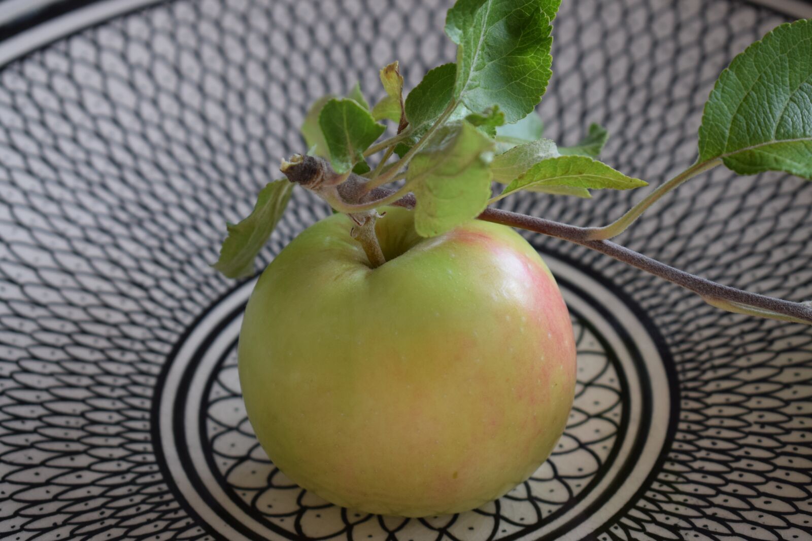 Nikon D3300 sample photo. Apple, swedish, fruit photography