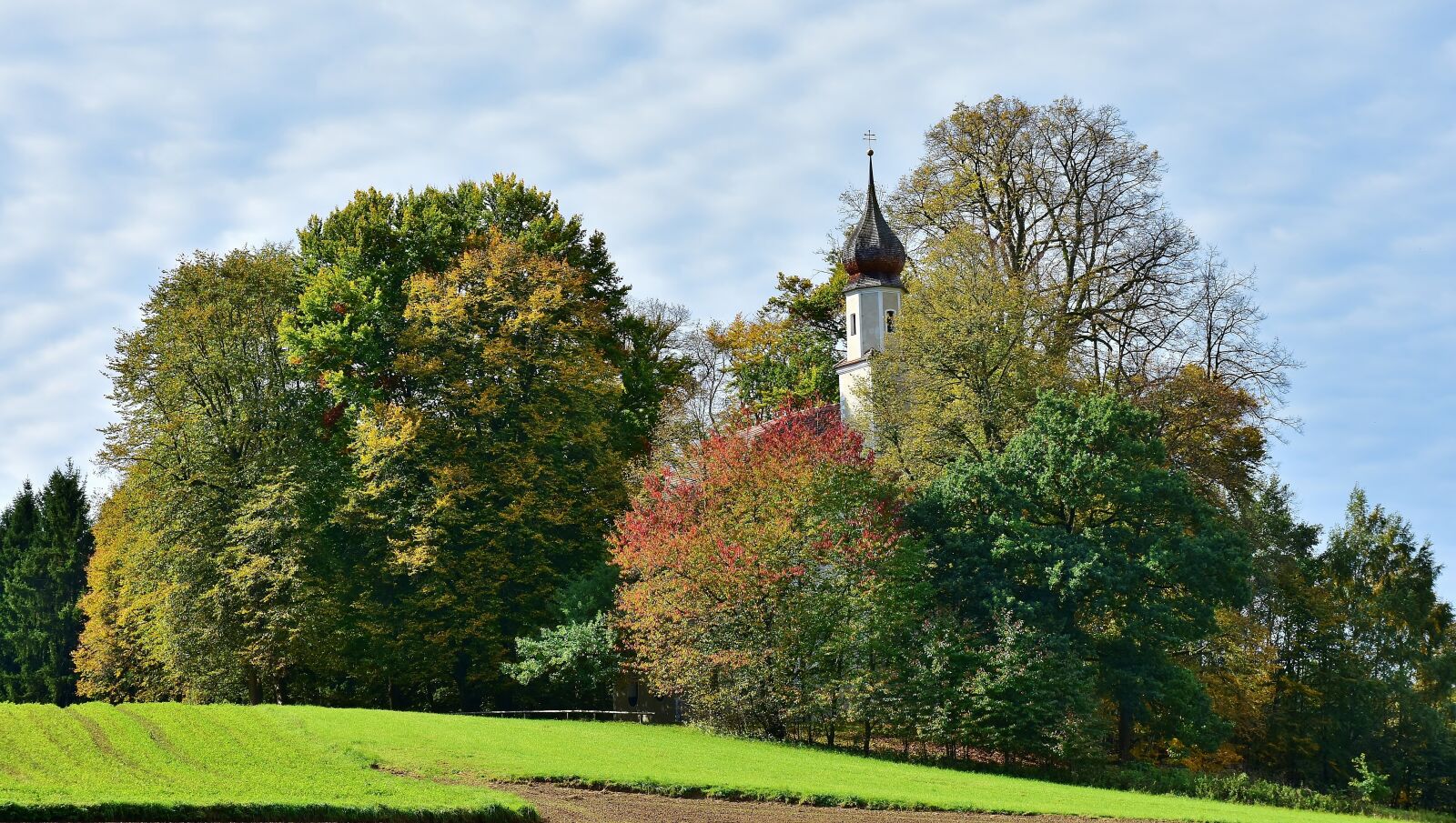 Nikon D7200 sample photo. Autumn, october, golden october photography