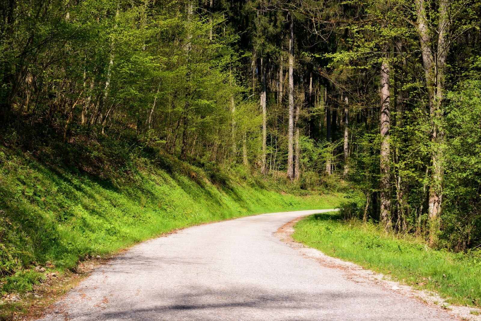 Nikon D7100 sample photo. Spring, road, away photography
