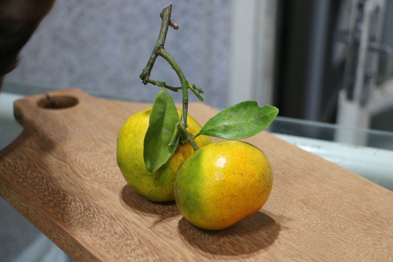 Canon EOS 70D sample photo. Leaves, green, yellow photography