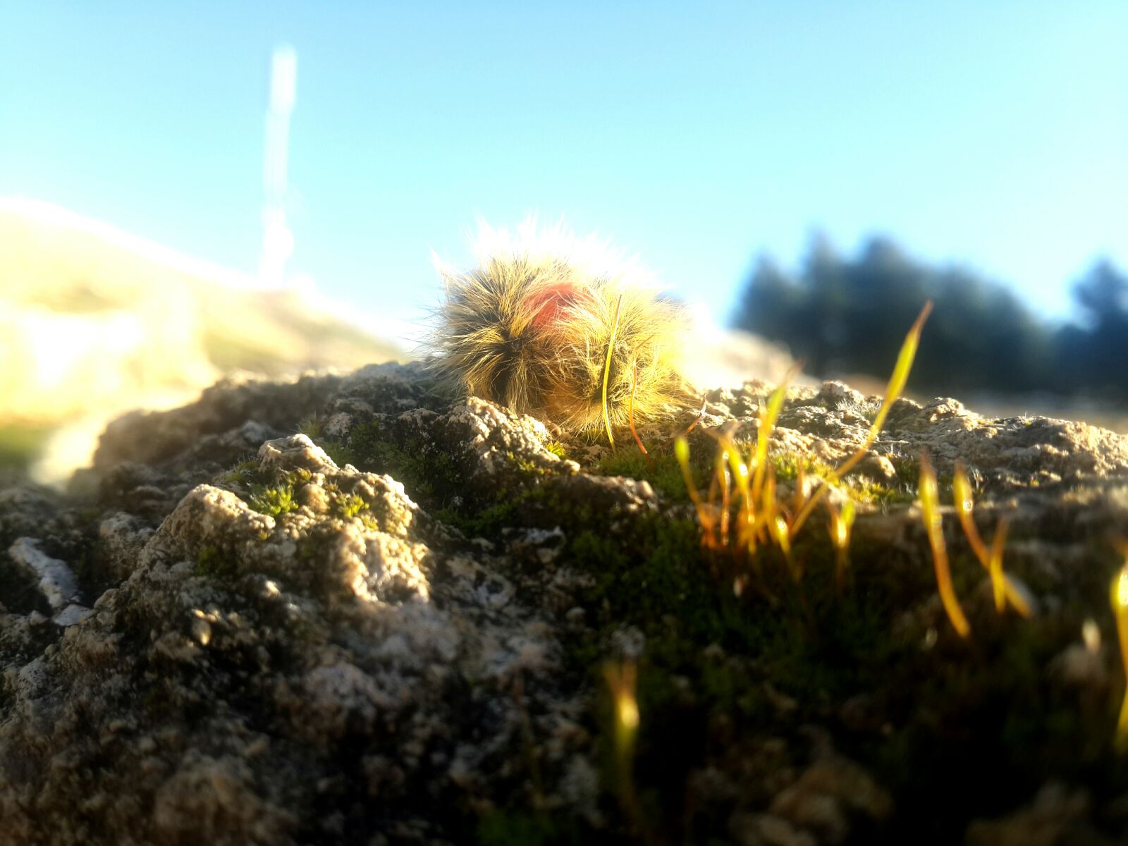 Samsung Galaxy S4 sample photo. Spring photography