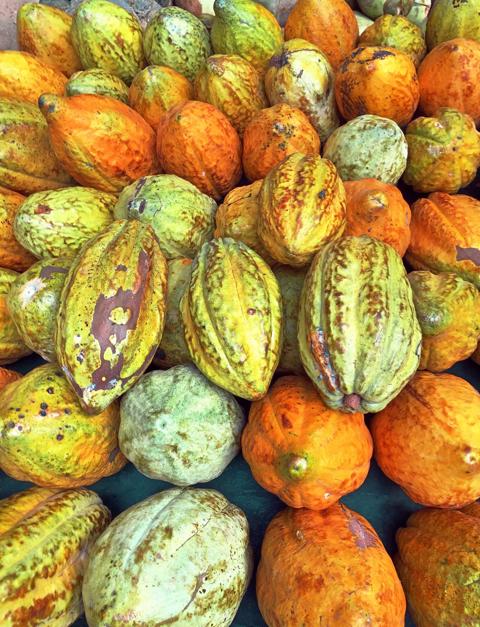 Apple iPhone 6 sample photo. Cocoa, ghana, mat photography