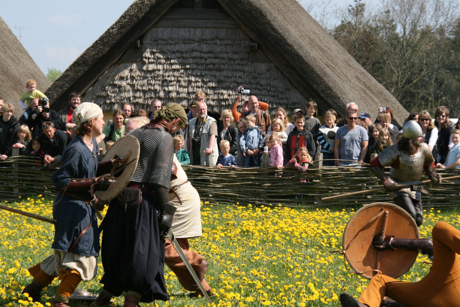 Sigma 18-200mm f/3.5-6.3 DC OS sample photo. Vikings photography