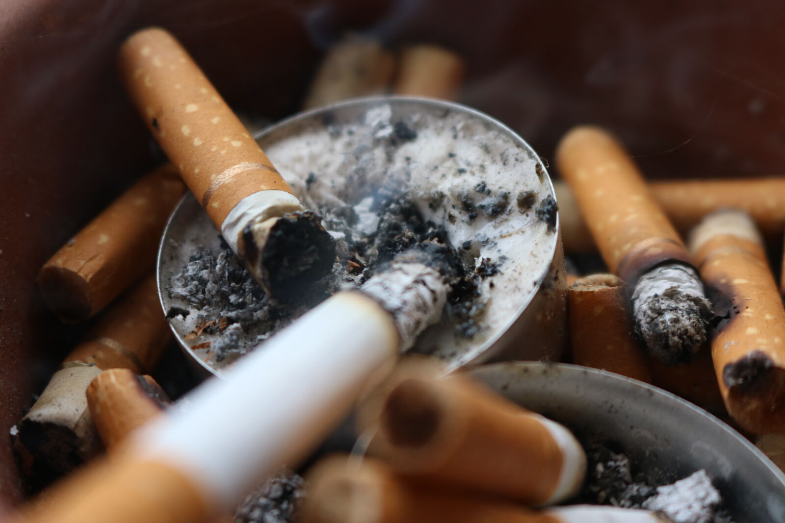Canon EOS 750D (EOS Rebel T6i / EOS Kiss X8i) sample photo. Ashes, cigarette, cigarette, butt photography