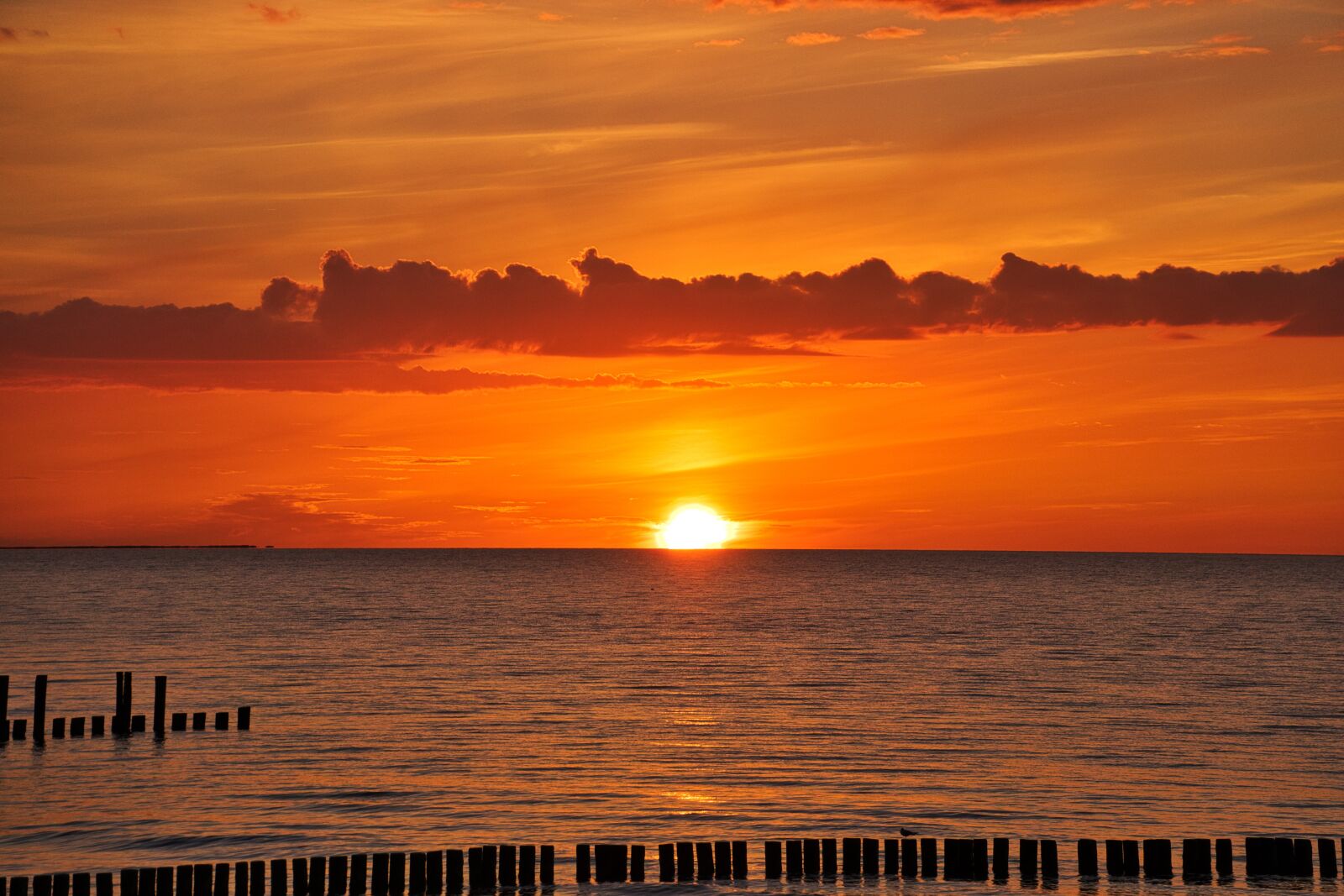 Sony Cyber-shot DSC-RX10 III sample photo. Baltic sea, zingst, sunset photography