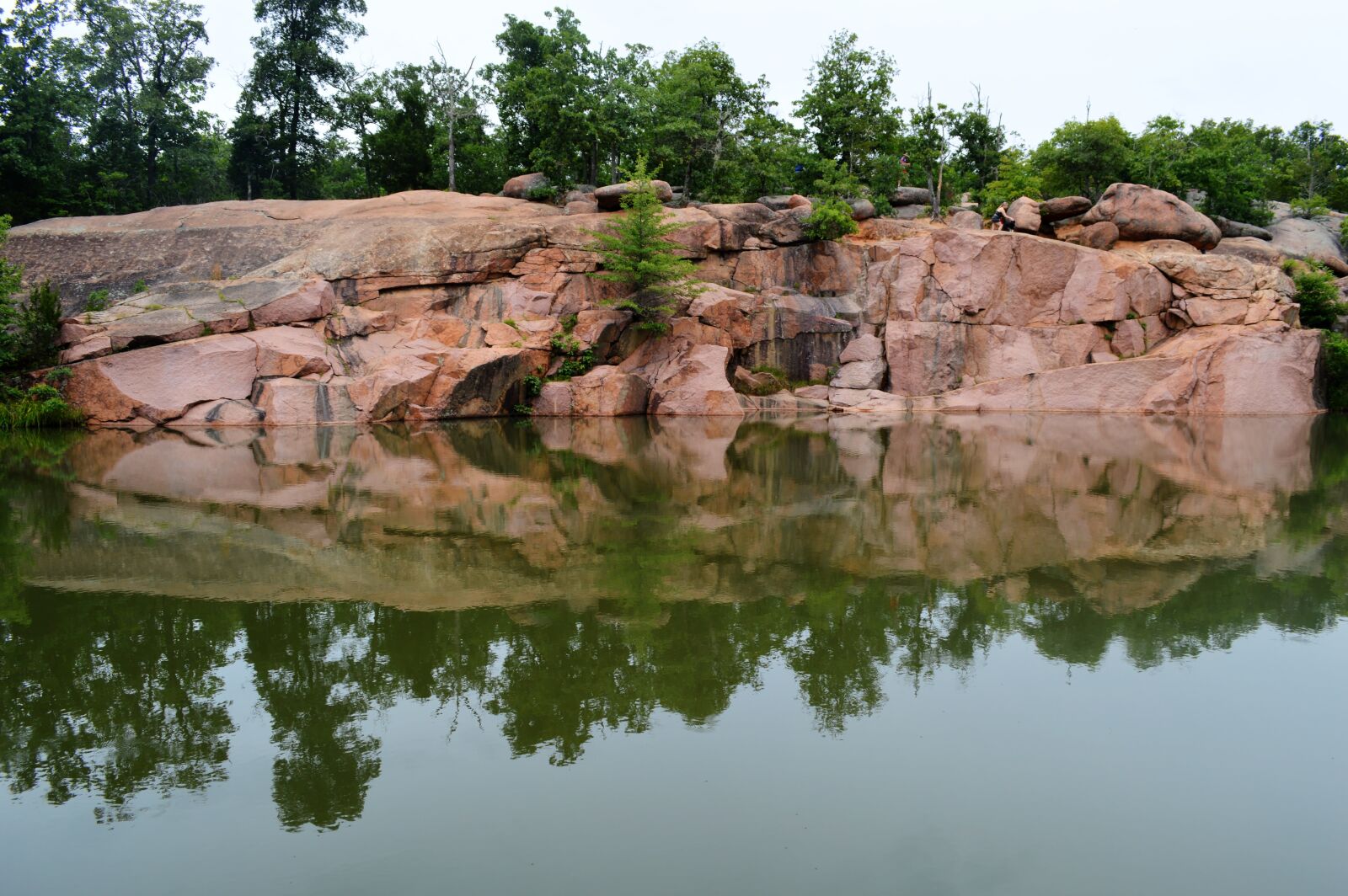 Nikon D3200 sample photo. Water, elephant, rock photography