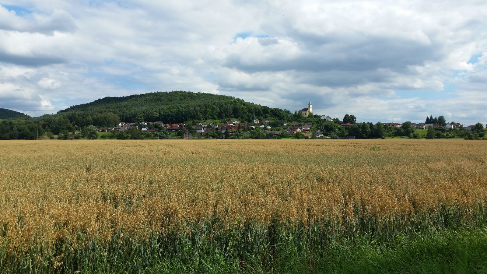 Samsung Galaxy S5 sample photo. Field, village, outdoors photography
