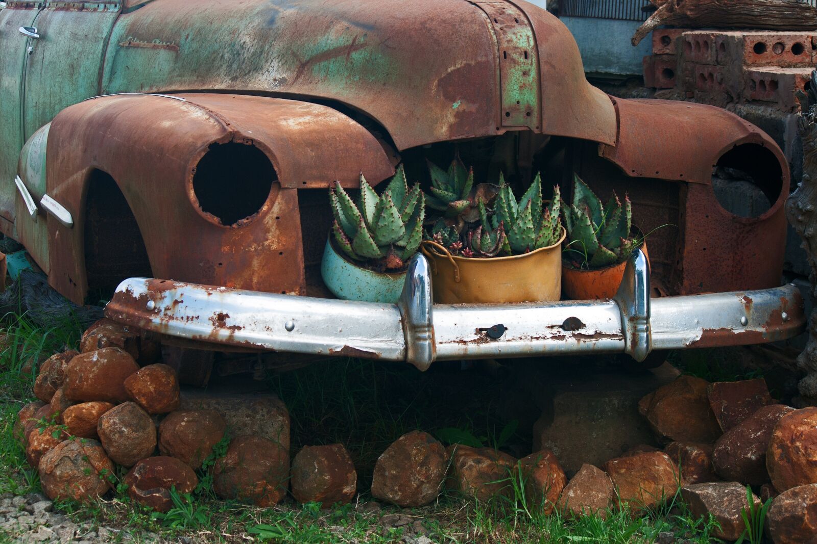 Canon EF-S 55-250mm F4-5.6 IS sample photo. Plants in old car photography