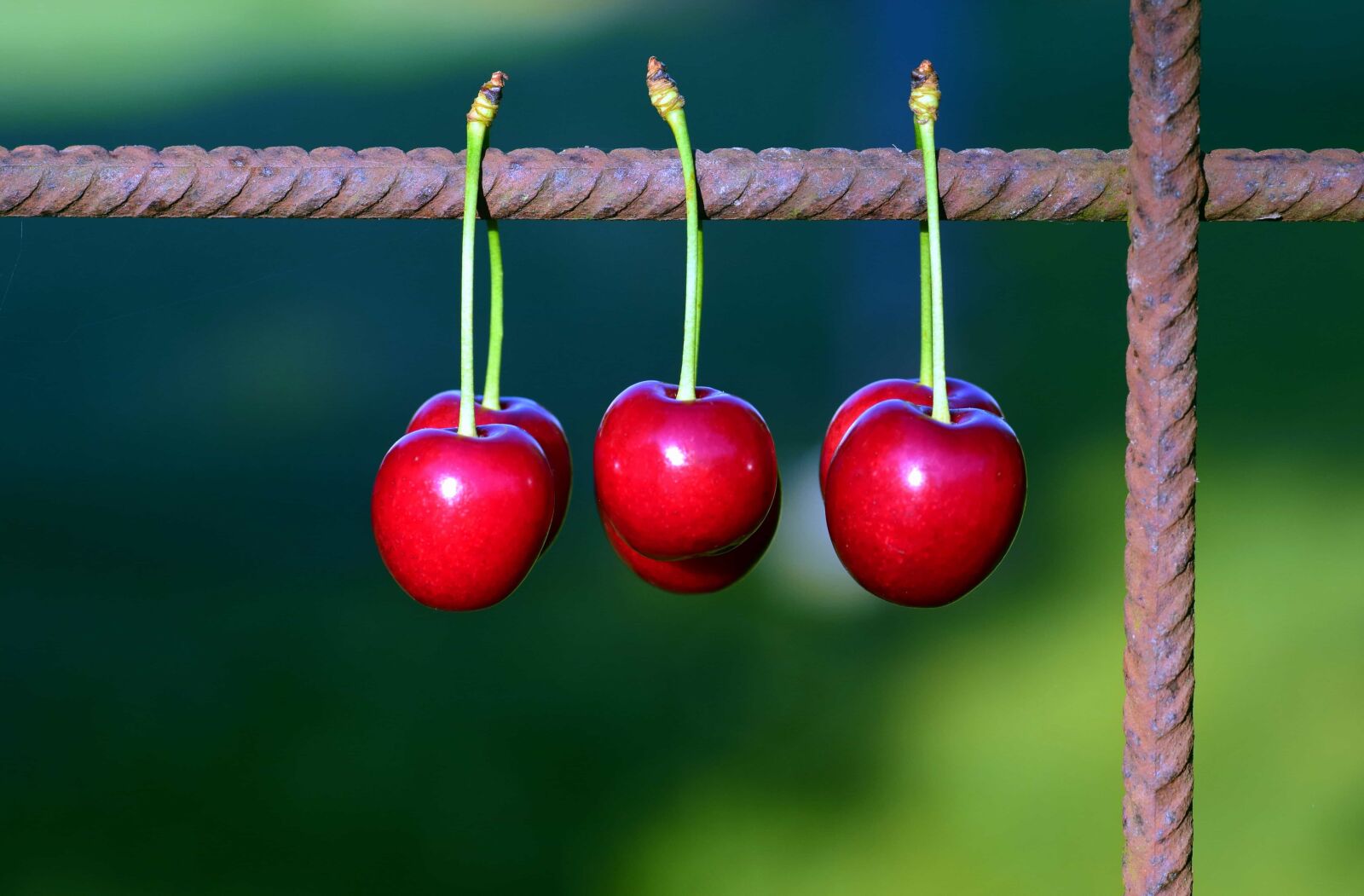 Nikon D3300 sample photo. Cherry, fruit, macro, food photography