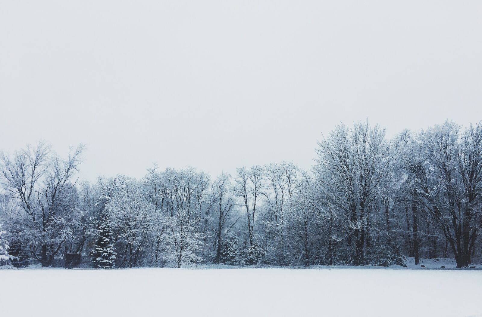 Apple iPhone 6s sample photo. Winter wonderland, winter, tree photography