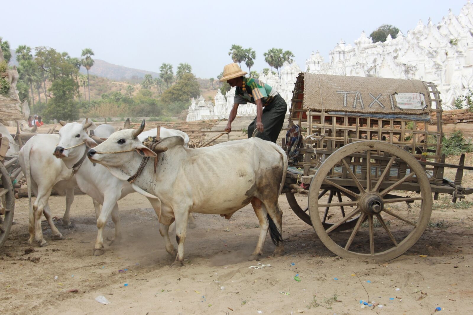Canon EOS 700D (EOS Rebel T5i / EOS Kiss X7i) sample photo. Farm, agriculture, cart photography