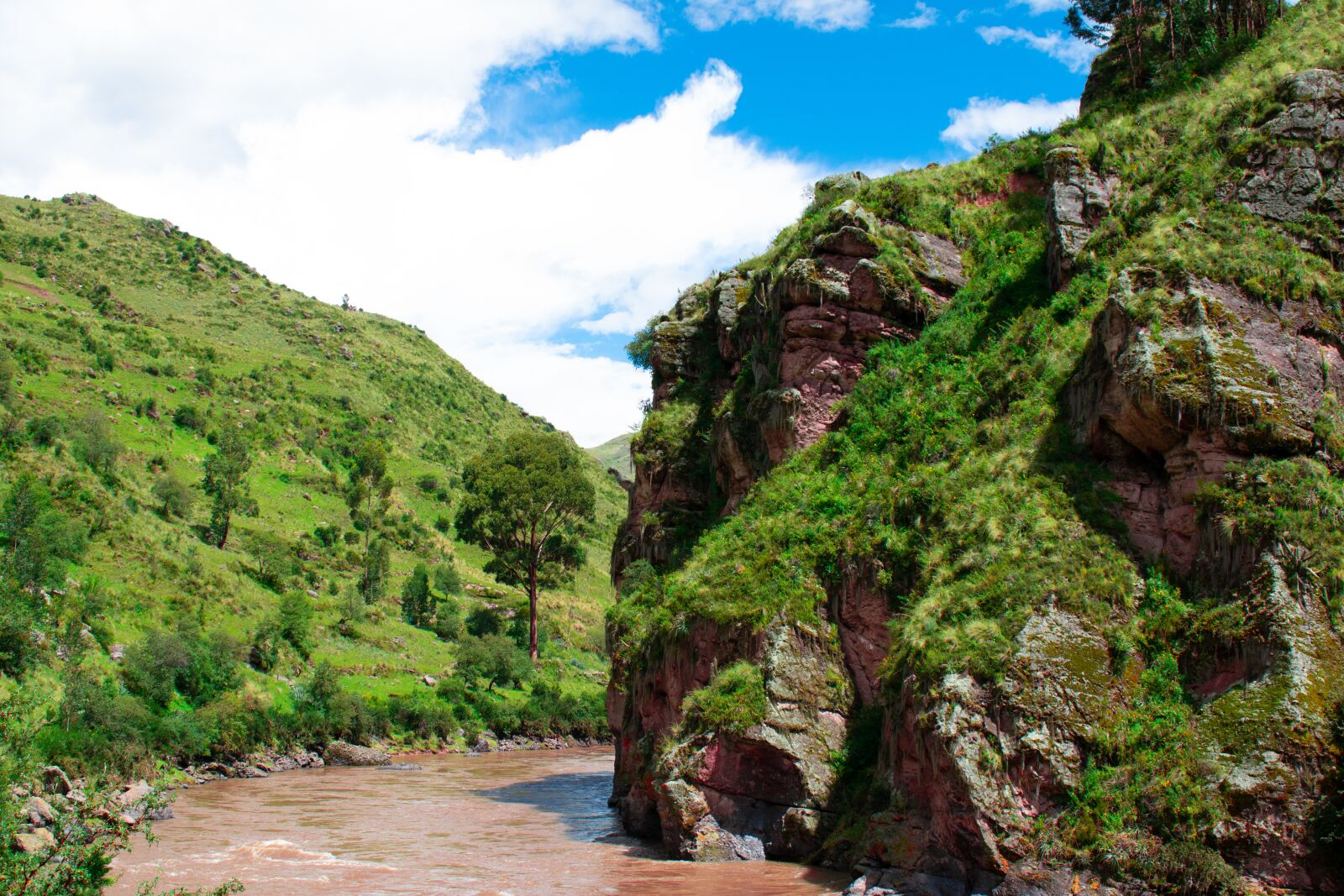 Nikon D3500 sample photo. River, rivera, rocks photography