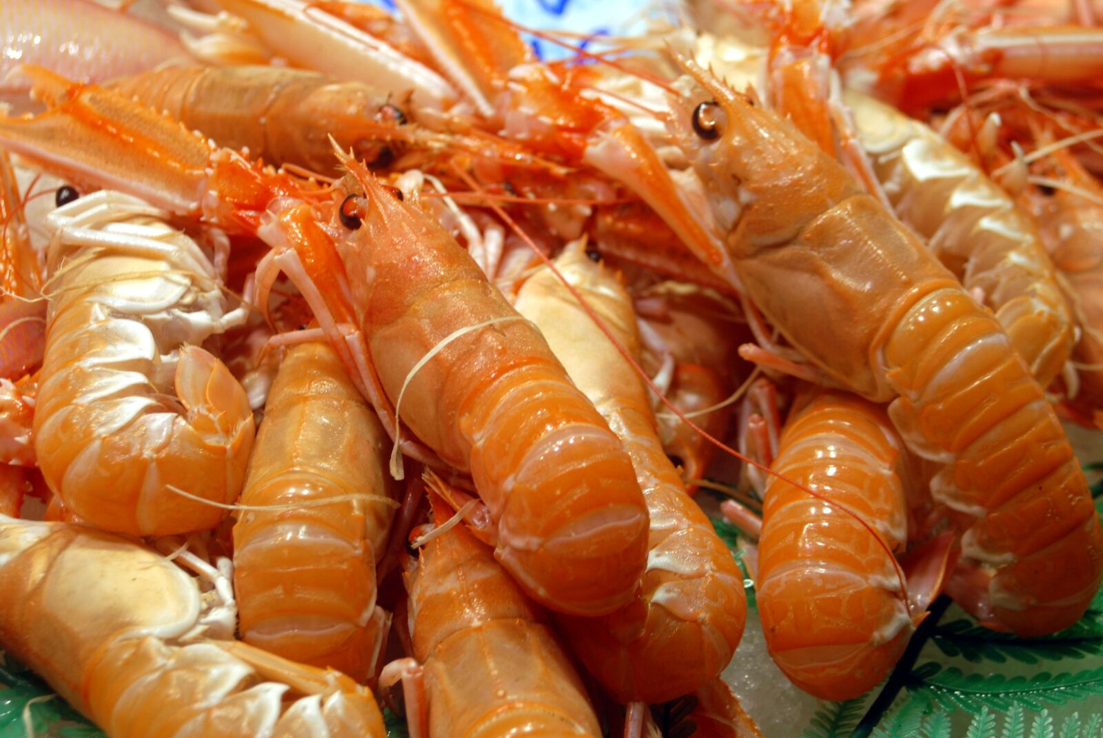 Nikon D200 sample photo. Food, prawn, seafood photography