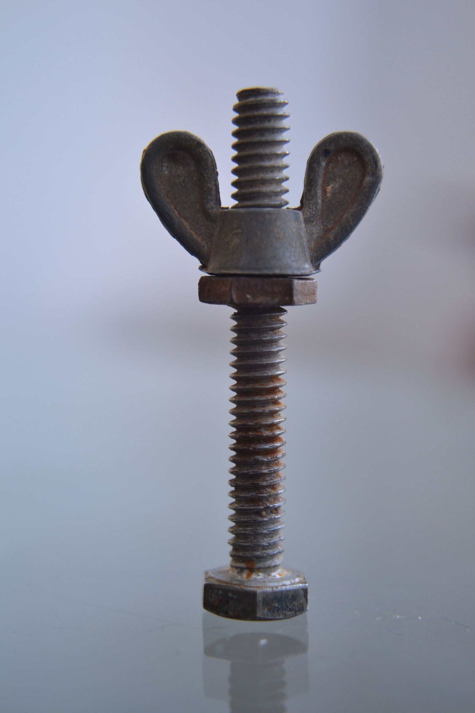Nikon D3100 sample photo. Screw, wing nut, spiral photography