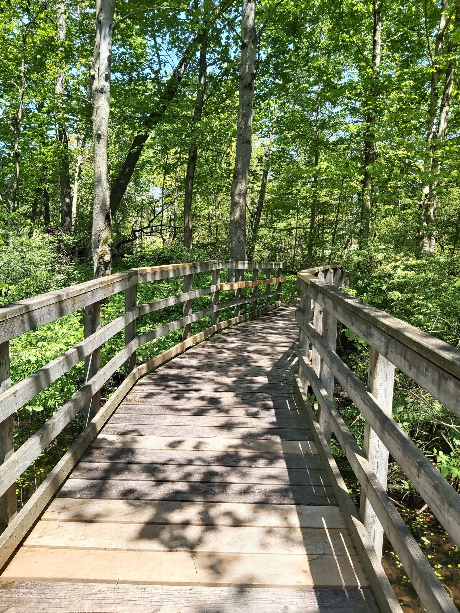 Samsung Galaxy A70 sample photo. Bridge, nature, landscape photography