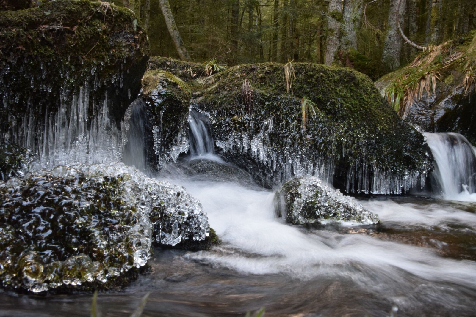 Nikon D5300 sample photo. River, gel, water photography