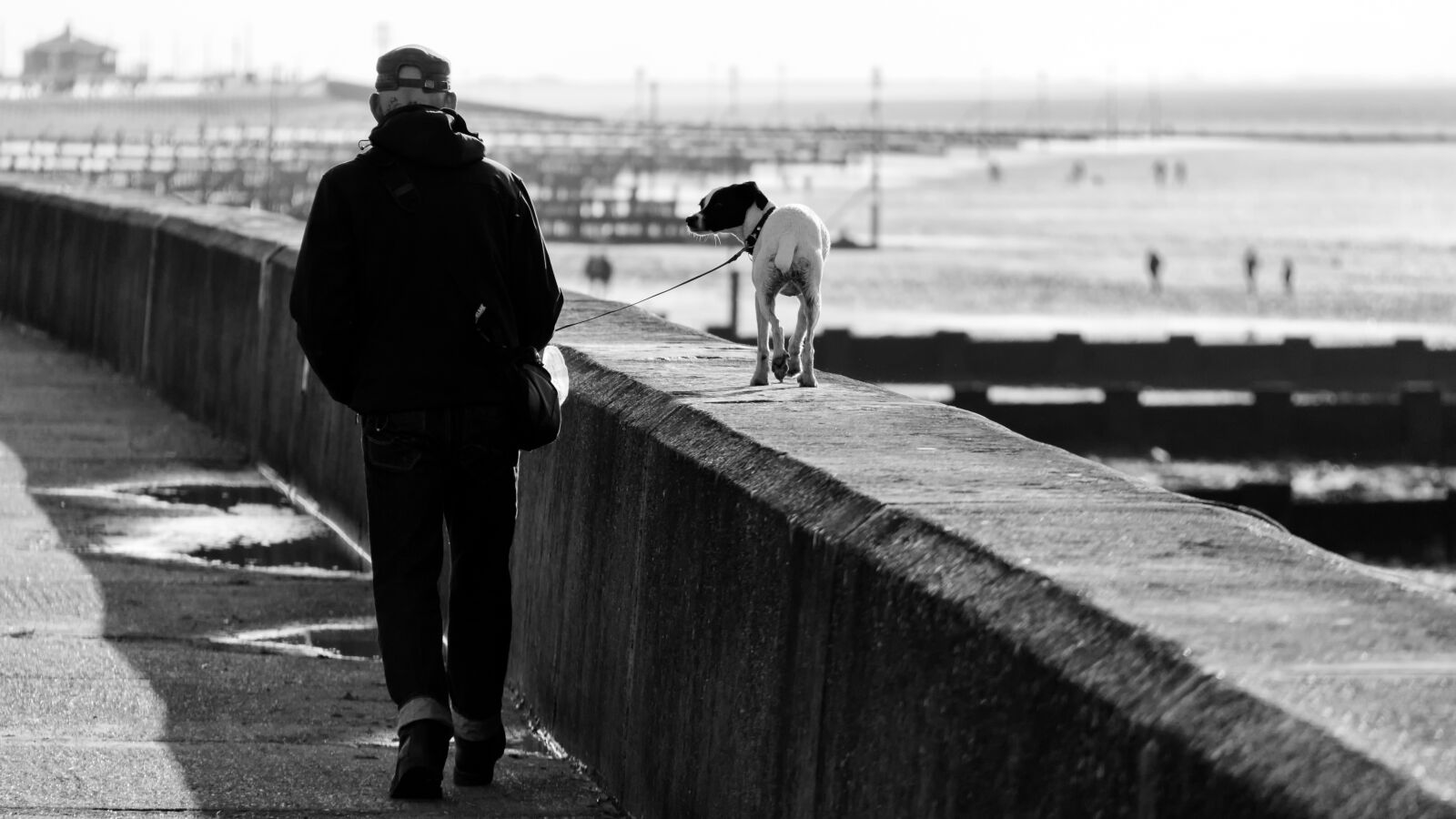 Canon EF-S 18-200mm F3.5-5.6 IS sample photo. Walk, dog, seaside photography