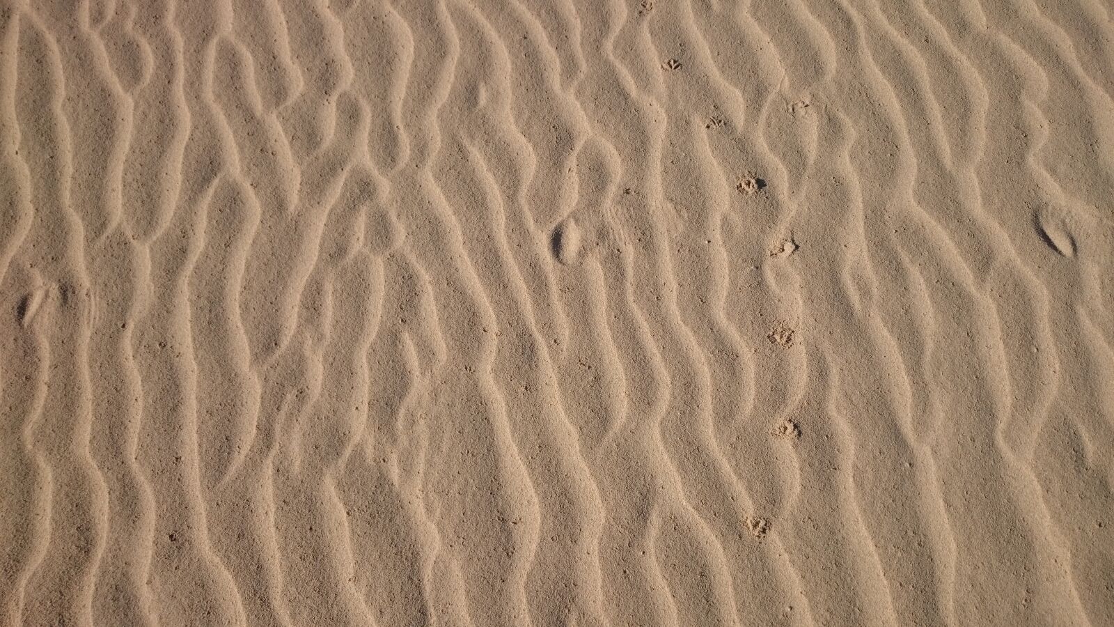 Sony Xperia Z2 sample photo. Sand, forms, landscape photography