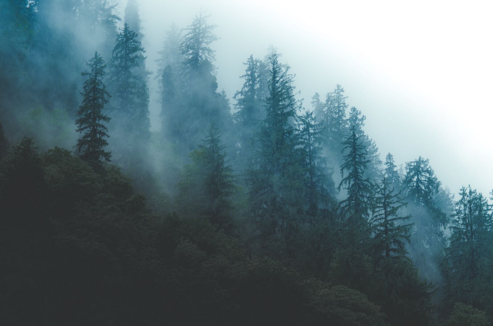 Nikon D5100 sample photo. Fog, hill, dark photography