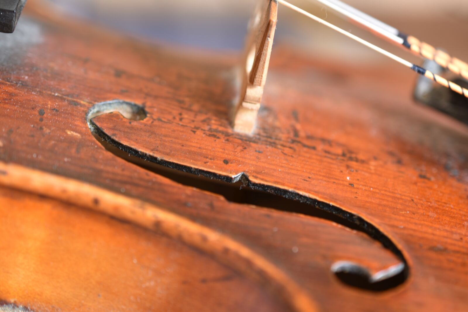 Nikon D5600 sample photo. Violin, f-hole, strings photography