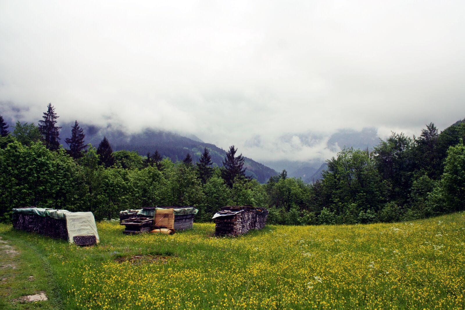 Canon EOS 1000D (EOS Digital Rebel XS / EOS Kiss F) sample photo. Upper bavaria, reit im photography