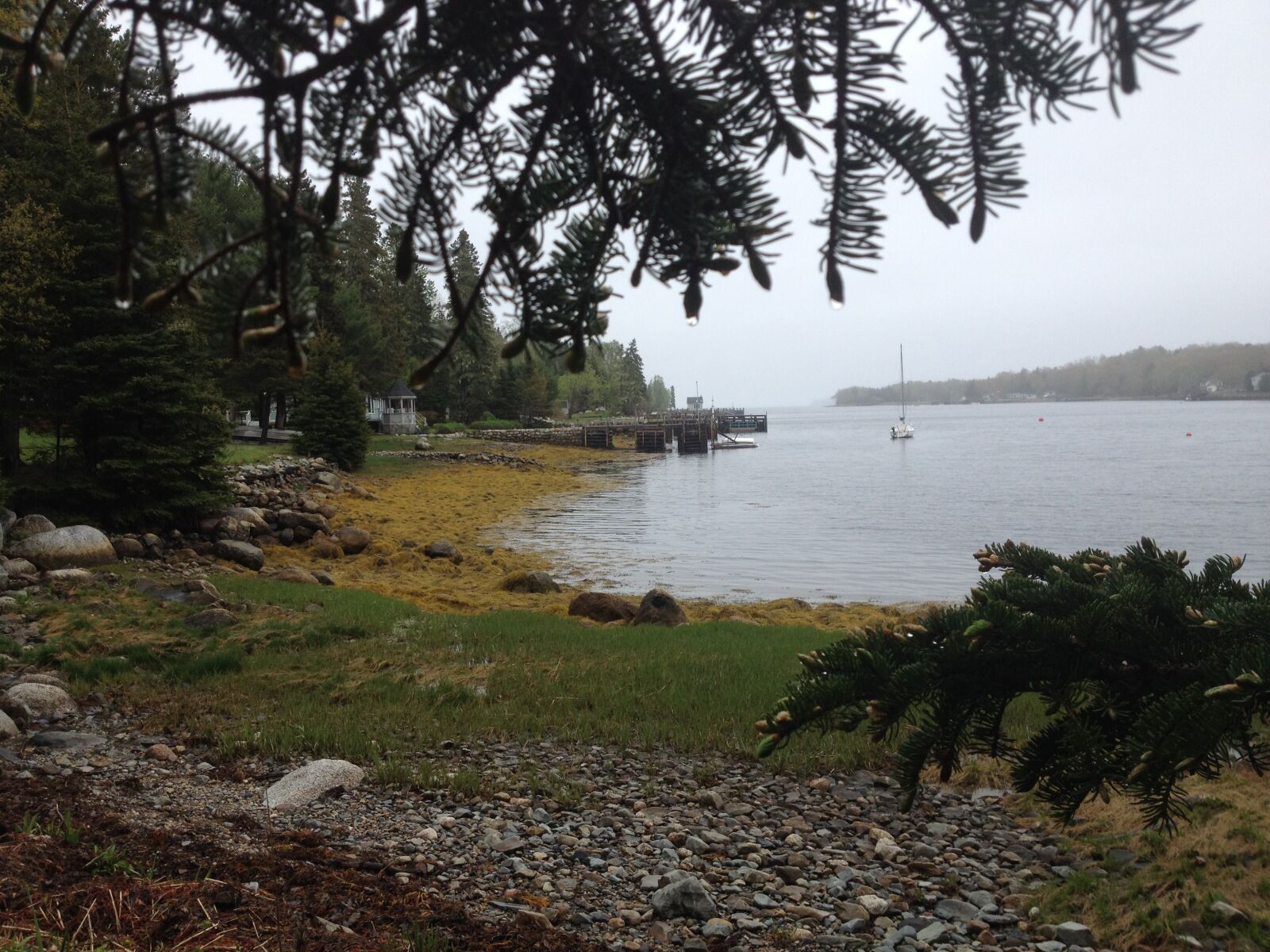 iPhone 4S back camera 4.28mm f/2.4 sample photo. Beach, canada, fishing, boat photography