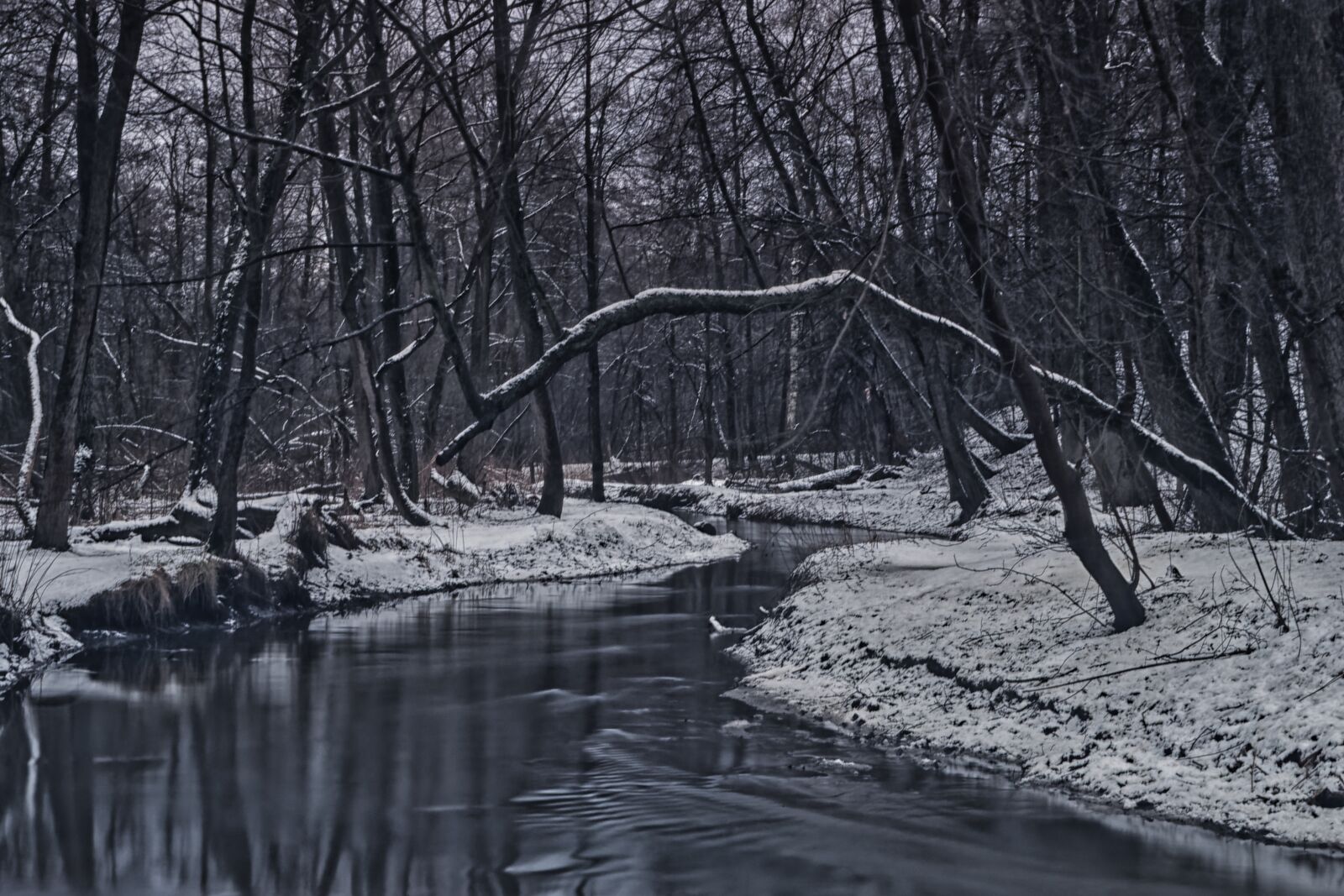 Canon EOS 500D (EOS Rebel T1i / EOS Kiss X3) sample photo. Winter, nature, landscape photography