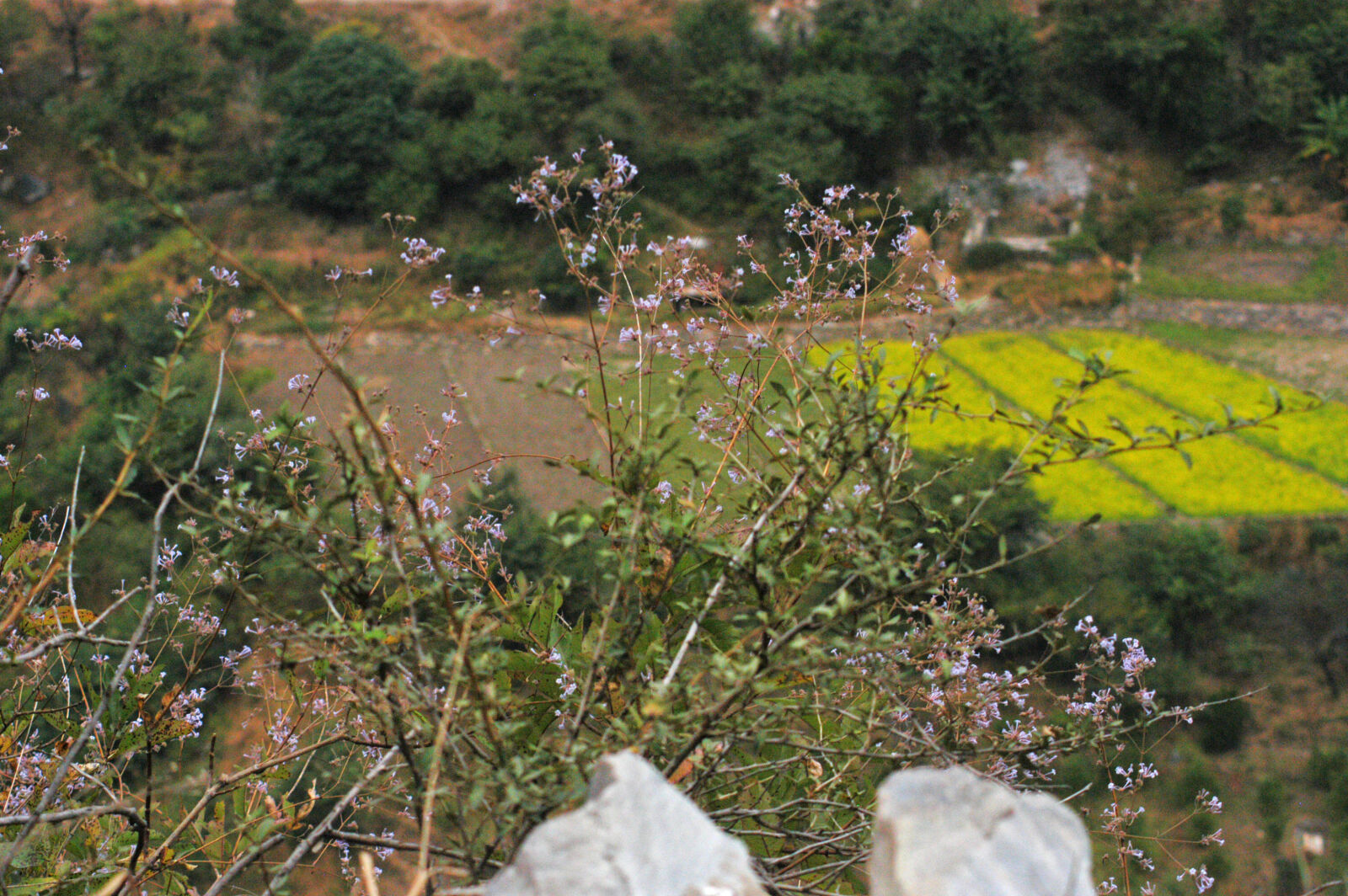 Nikon D100 sample photo. Autumn, farming, fields, hanol photography