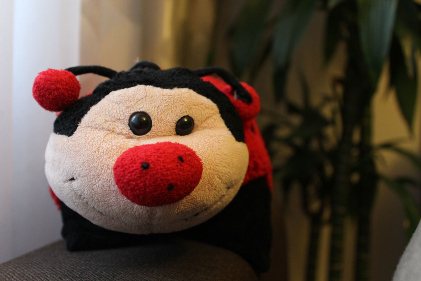 Canon EOS 1200D (EOS Rebel T5 / EOS Kiss X70 / EOS Hi) sample photo. Creature, kids, smile, toy photography