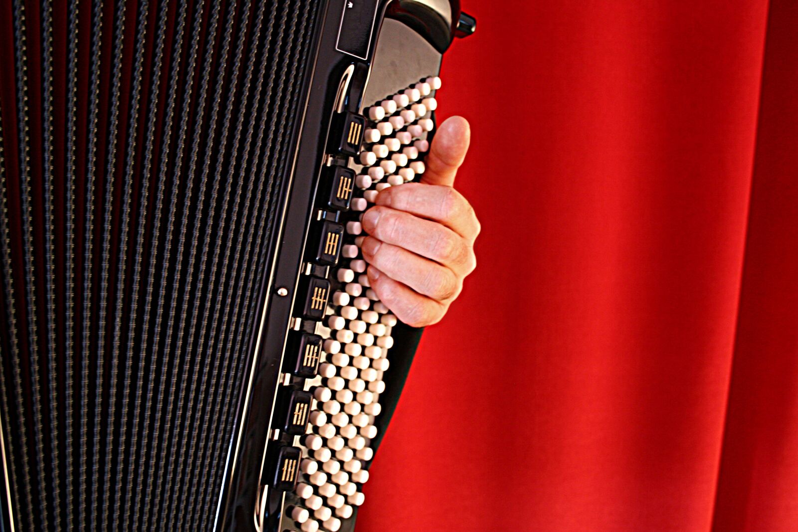 Canon EOS 20D sample photo. Accordion, keyboard instrument, music photography