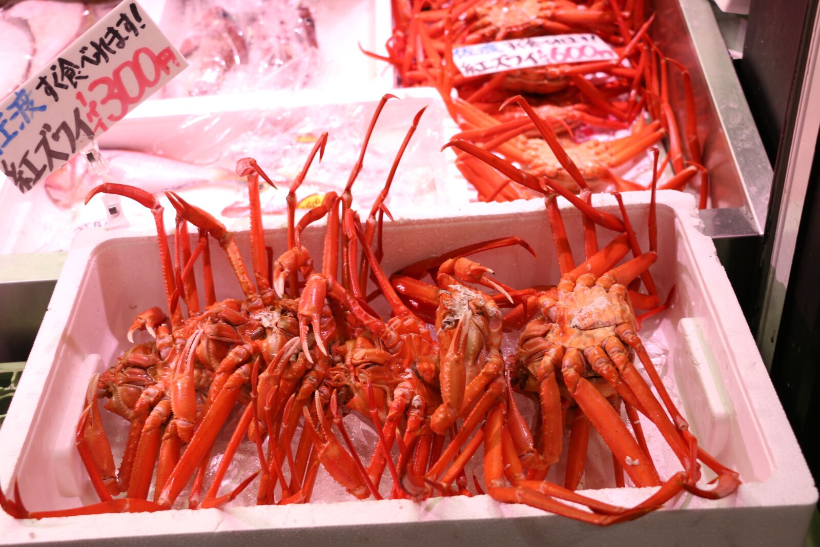 Canon EOS 70D sample photo. Japan, crab, aquatic products photography