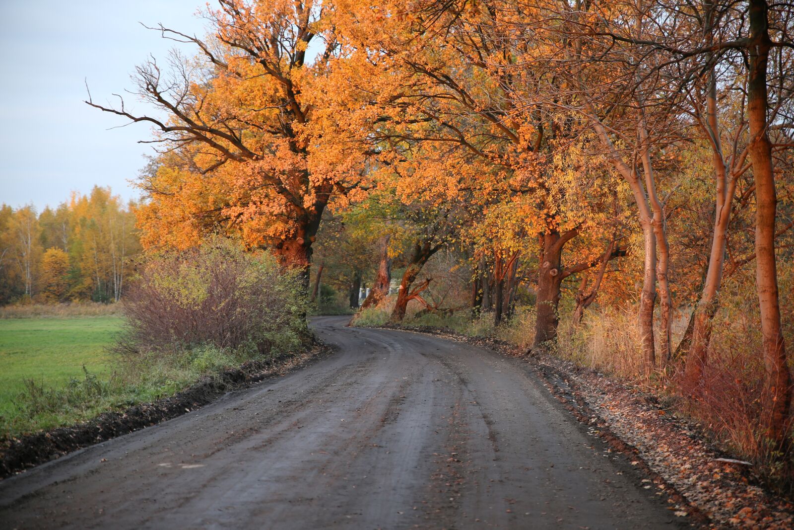 Canon EOS 6D sample photo. Way, autumn, landscape photography