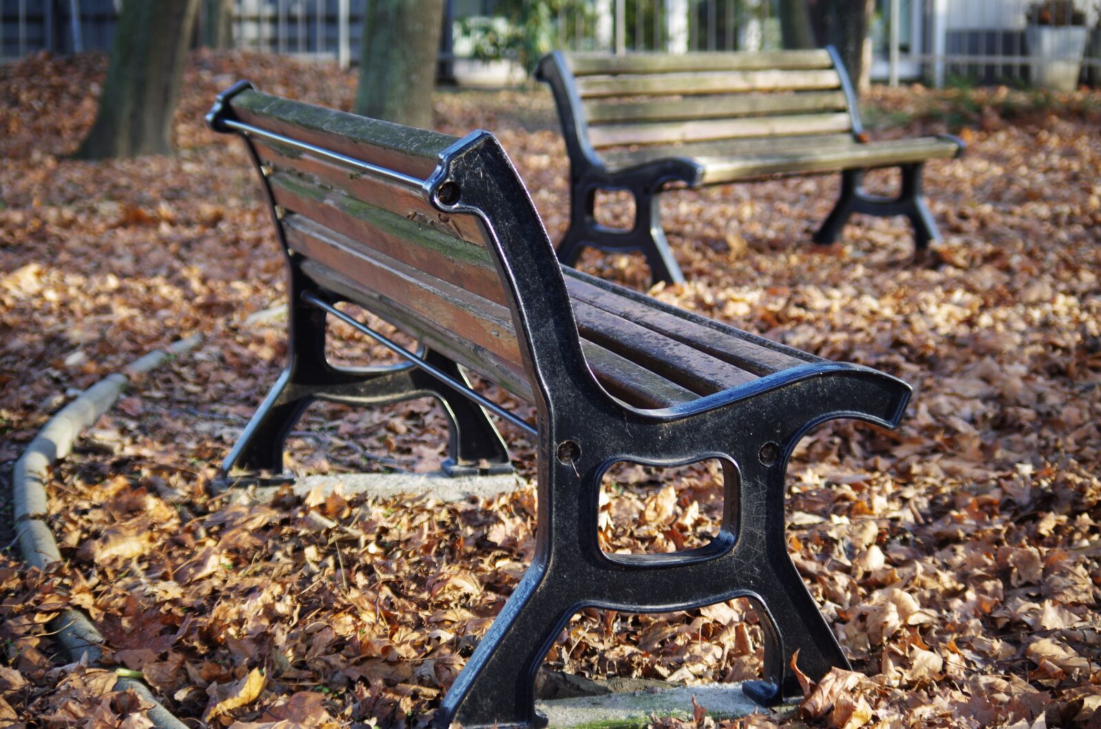 Pentax K-500 sample photo. Bench, park, autumn photography