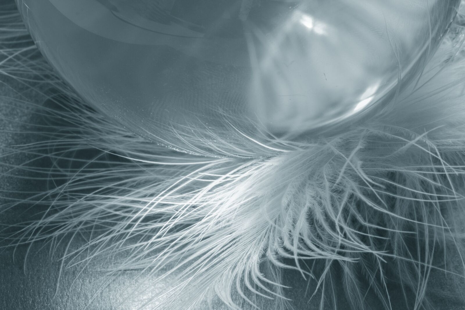 Canon EOS 70D + Canon TAMRON SP 90mm F/2.8 Di VC USD MACRO1:1 F004 sample photo. Glass ball, feather, ease photography