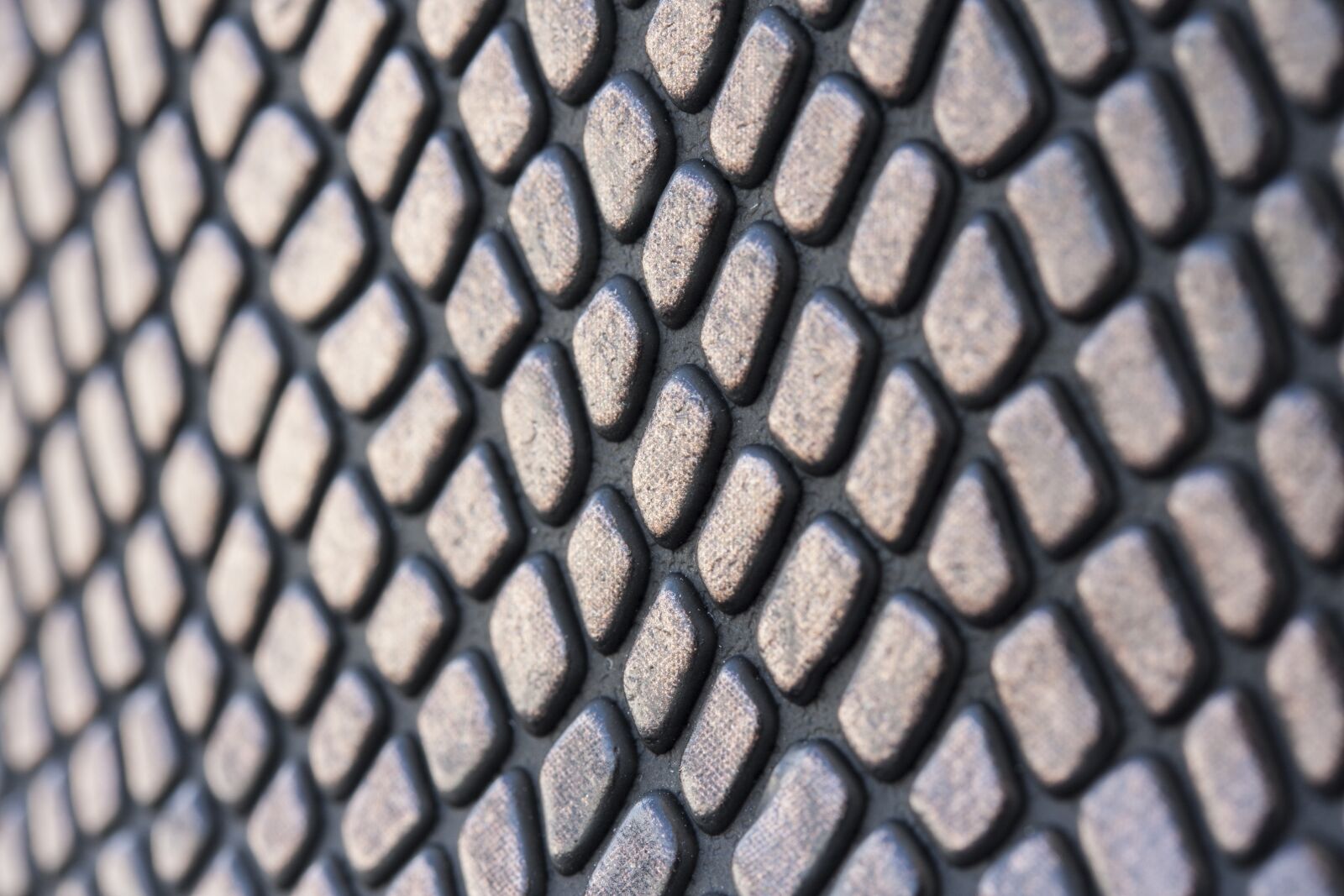 Canon EOS 40D sample photo. Texture, skin, macro photography
