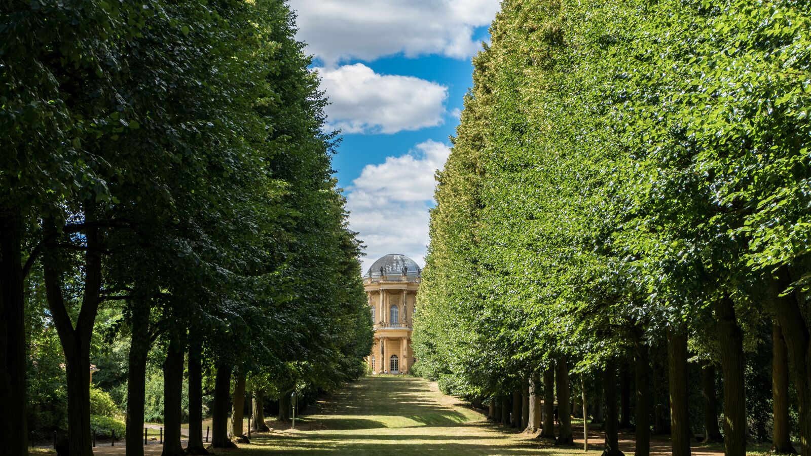 Sony a7 II + Sony FE 28-70mm F3.5-5.6 OSS sample photo. Landscape, avenue, tree lined photography