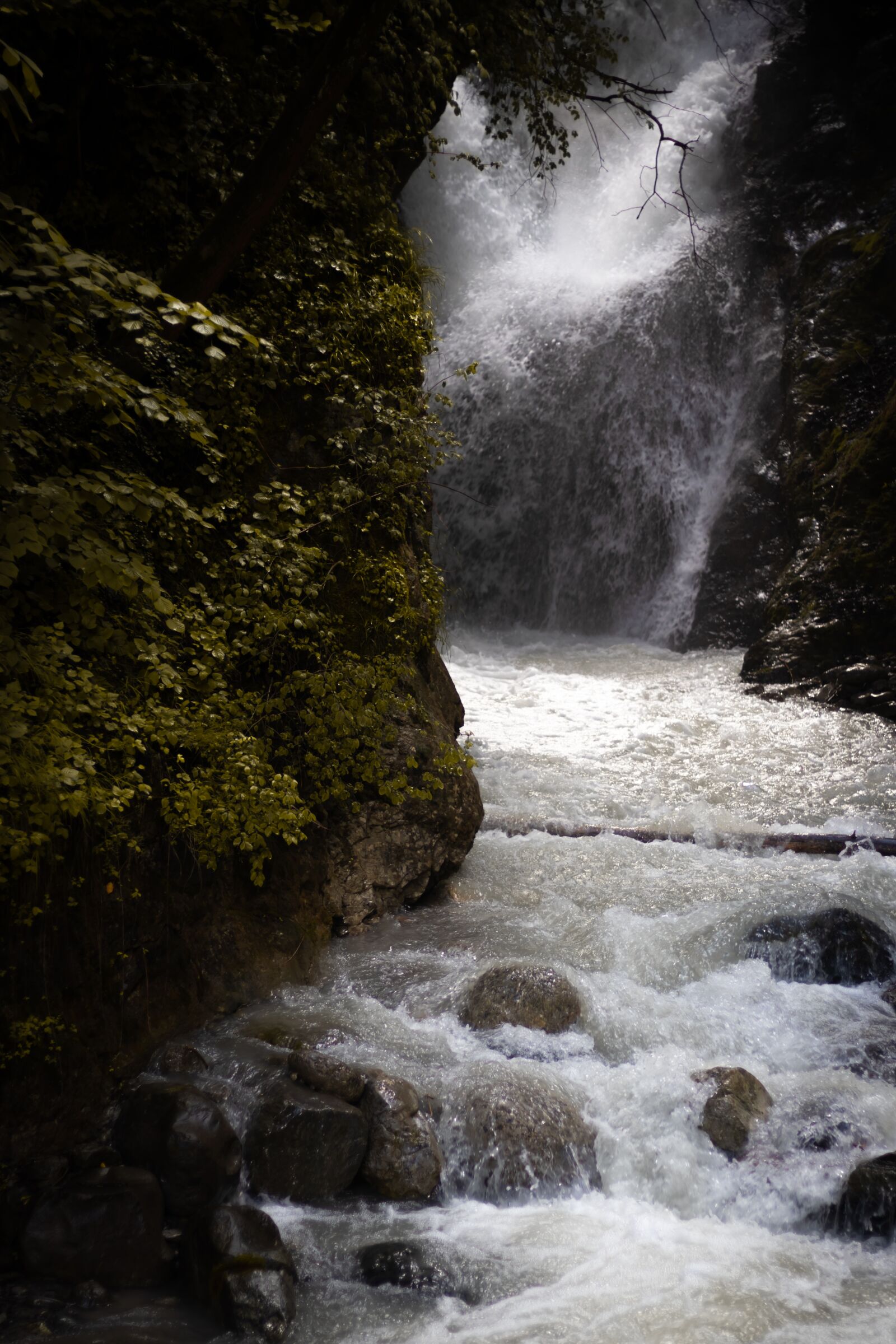 Canon EOS 250D (EOS Rebel SL3 / EOS Kiss X10 / EOS 200D II) sample photo. Leaves, waterfall, stream photography