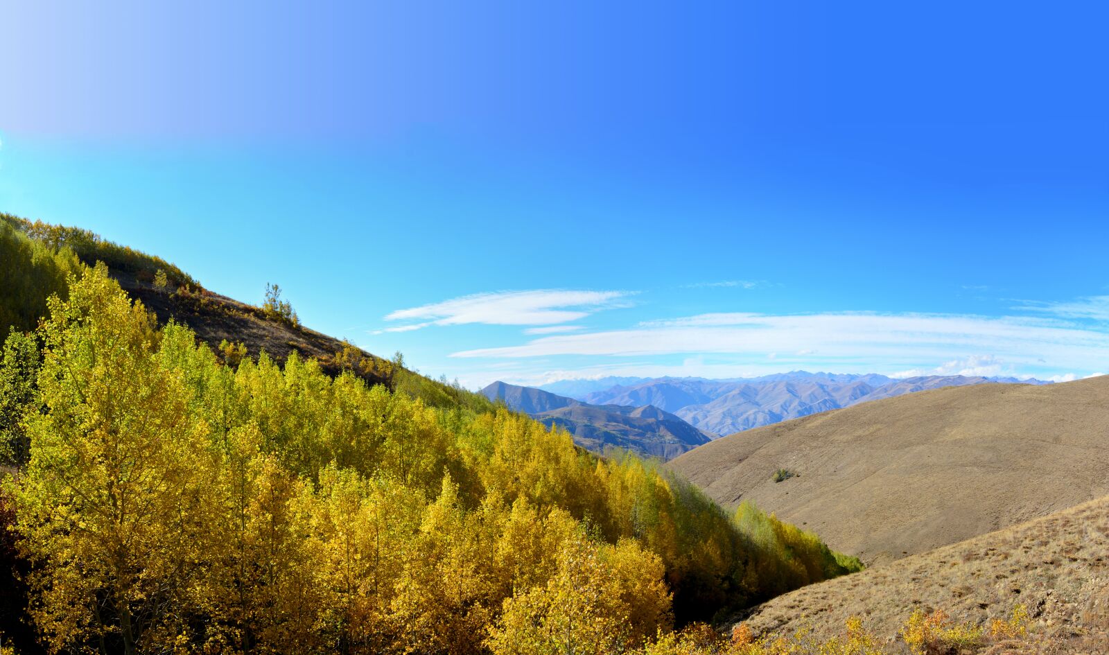 Nikon D7100 sample photo. Autumn, season, nature photography