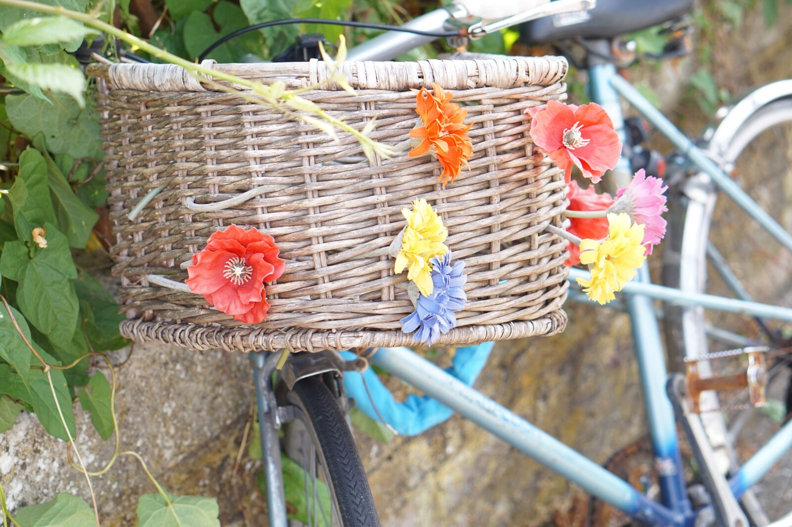 Sony Alpha a5000 (ILCE 5000) + E 50mm F1.8 OSS sample photo. Bicycle, basket, flowers photography