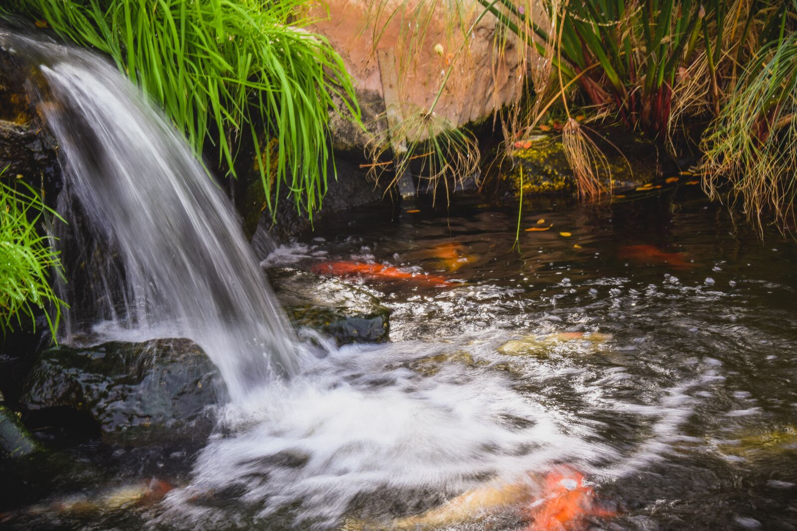 Nikon D3300 sample photo. Stream, water, pond photography