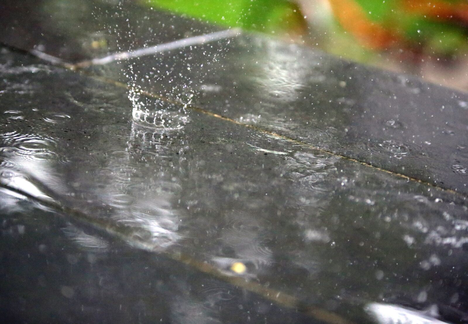 Canon EOS 6D sample photo. Rain, raindrop, water photography