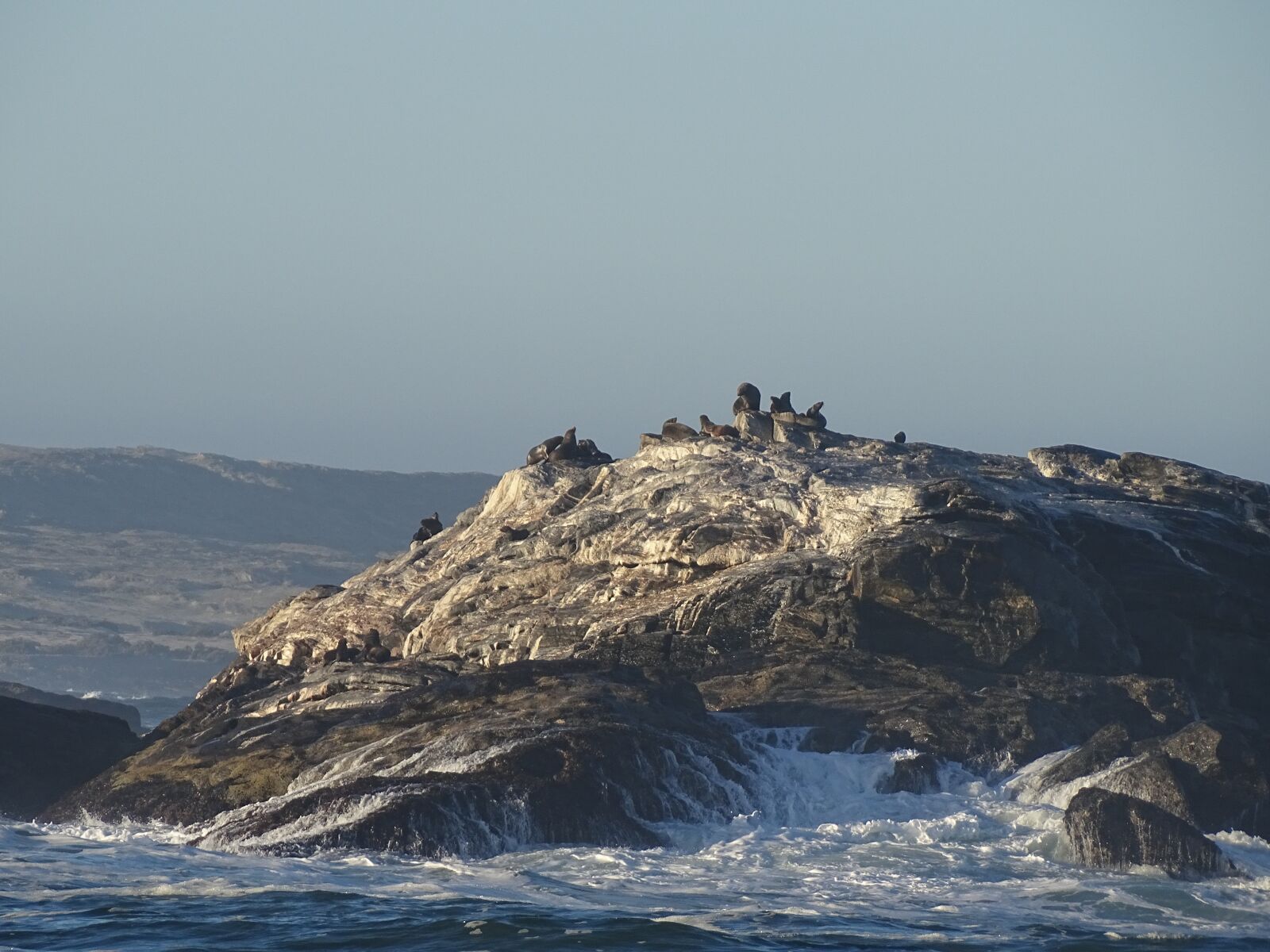 Sony Cyber-shot DSC-HX400V sample photo. Seals, sea, wave photography