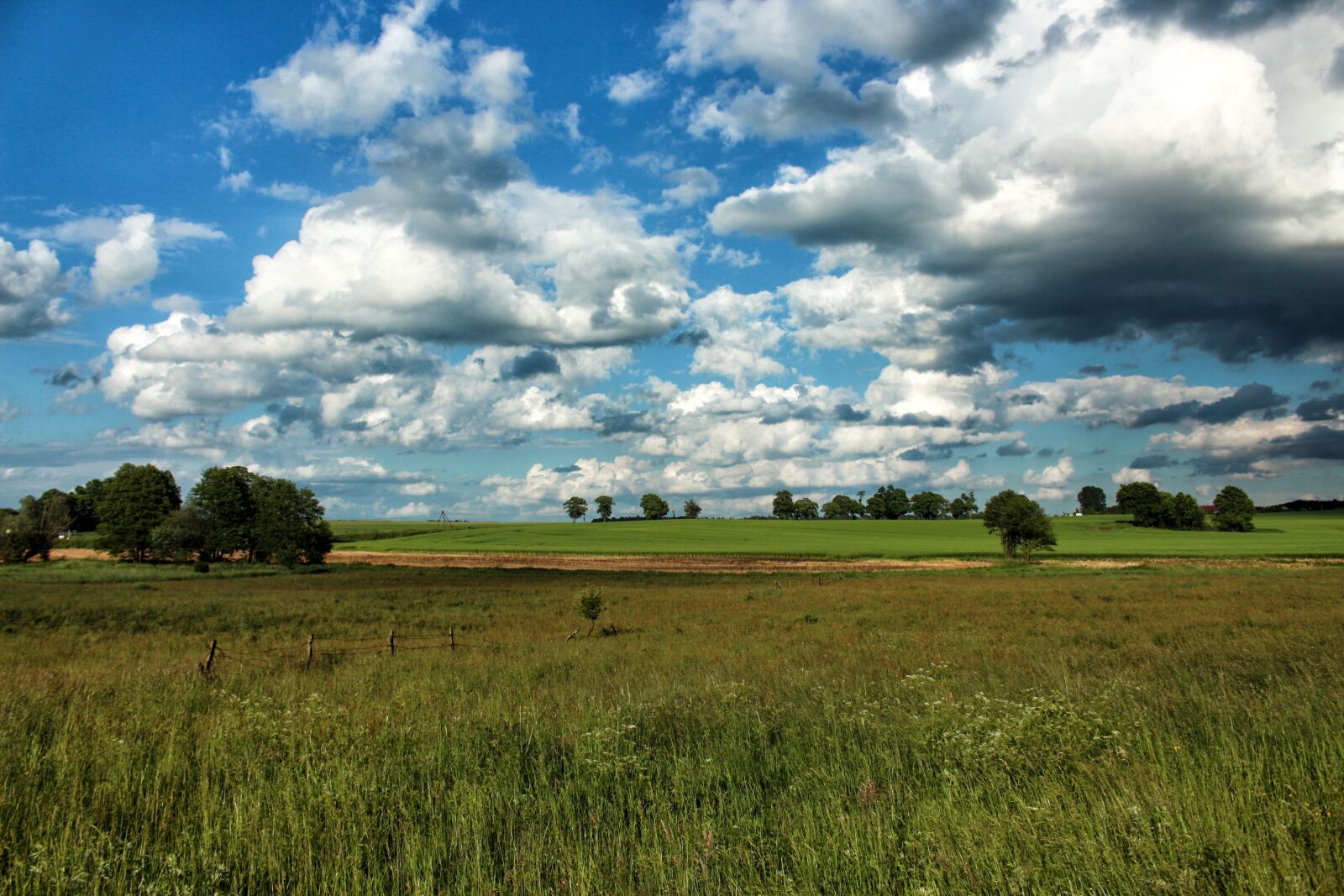 Canon EOS 700D (EOS Rebel T5i / EOS Kiss X7i) sample photo. Landscape, meadow, summer photography