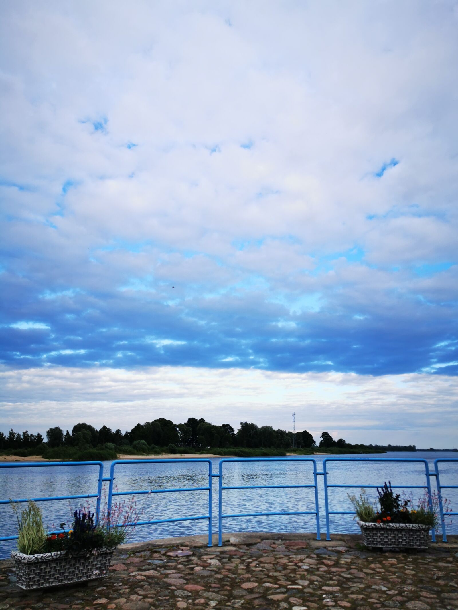 HUAWEI VOG-L29 sample photo. Blue sky, plants, pond photography