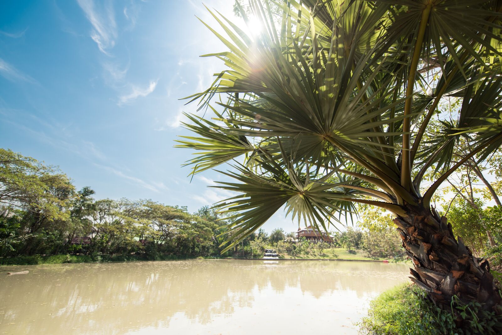 Nikon D750 sample photo. Relax, nature, to relax photography