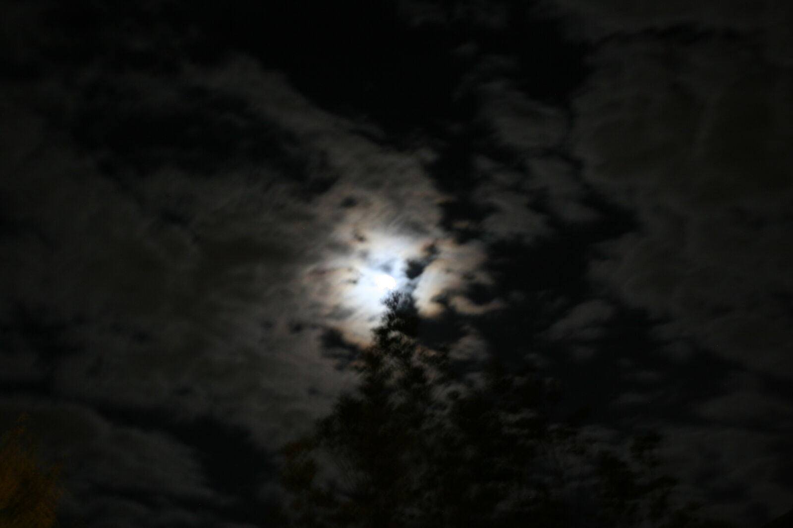 Canon EOS 20D sample photo. Blurred, but, still, cool photography