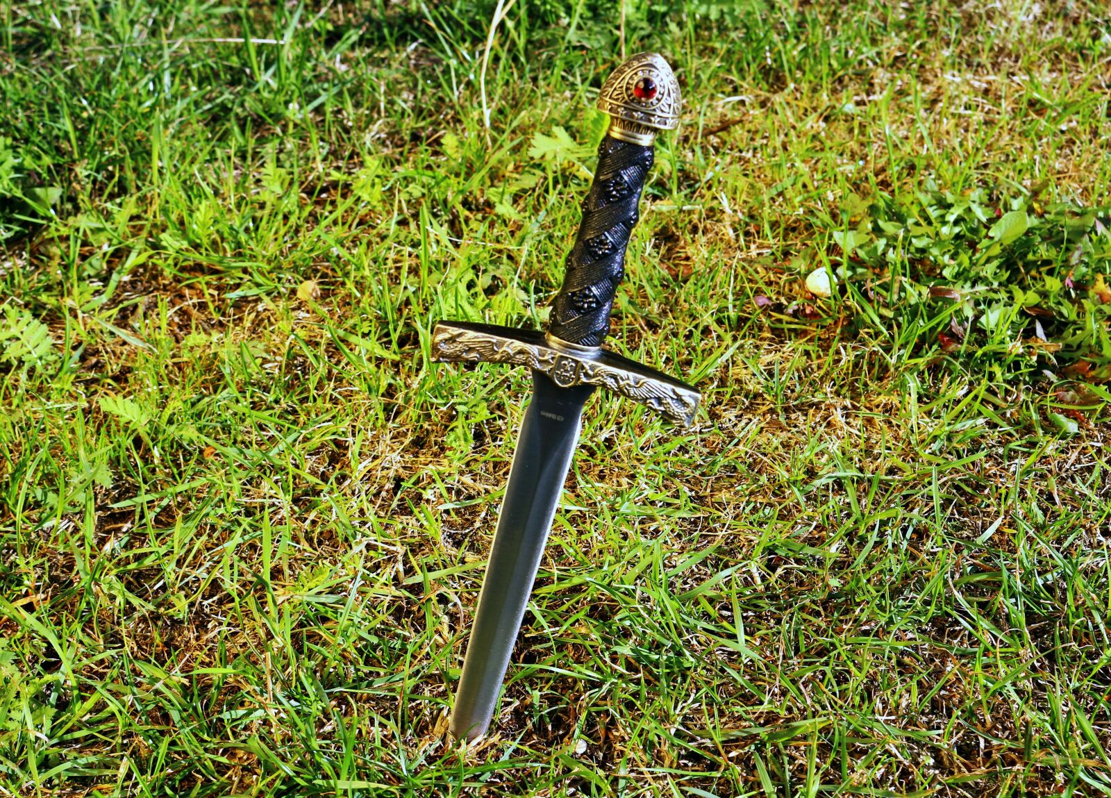 Canon EOS 100D (EOS Rebel SL1 / EOS Kiss X7) sample photo. Weapon, knife, dagger photography