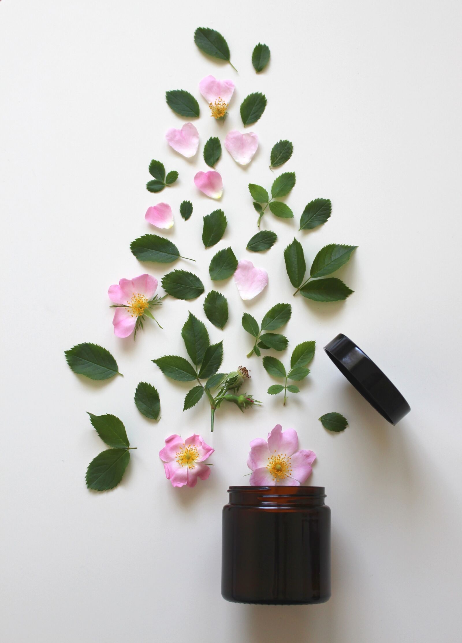 Canon EOS 700D (EOS Rebel T5i / EOS Kiss X7i) sample photo. Natural cosmetics, pink, rose photography